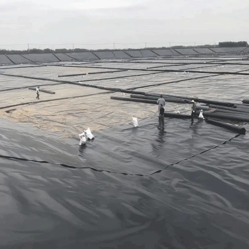 Lớp lót hồ HDPE màu đen chất lượng cao 0,5mm ∼2,0mm cho nuôi cá, ao thủy sản, hồ chứa nước và chống thấm đập