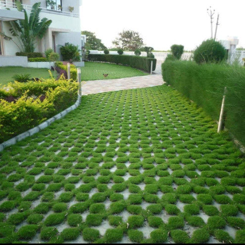 Mạng lưới cỏ nhựa cho bãi đậu xe Fire Exit HDPE Pavers Geogrid cho cảnh quan Ground Geocell Gravel Paddock Grid