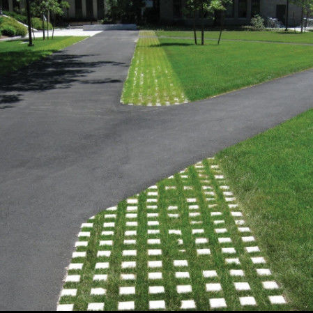 Mạng lưới cỏ nhựa cho bãi đậu xe Fire Exit HDPE Pavers Geogrid cho cảnh quan Ground Geocell Gravel Paddock Grid