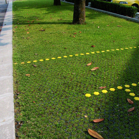 Mạng lưới cỏ nhựa cho bãi đậu xe Fire Exit HDPE Pavers Geogrid cho cảnh quan Ground Geocell Gravel Paddock Grid