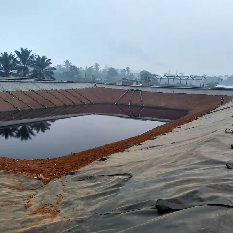 Geomembrane Pond Liner 0,5mm 1MM 1,5mm 2mm HDPE LDPE LLDPE PVC EVA GeoMbrane Pond Liner