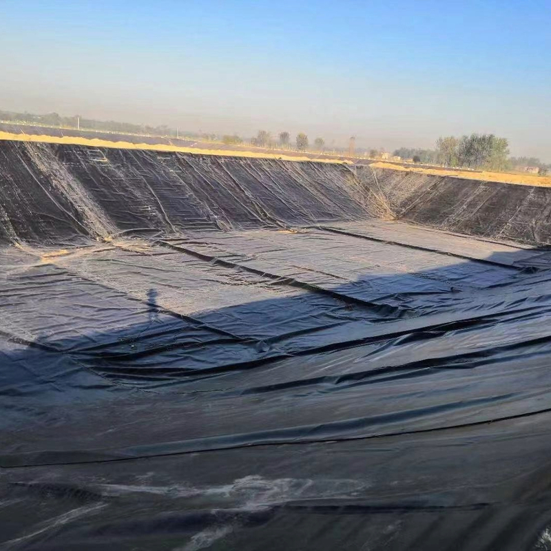 Màng chống thấm HDPE cho nuôi trồng thủy sản, trang trại cá, ao, đập, hồ bơi và các ứng dụng chứa nước