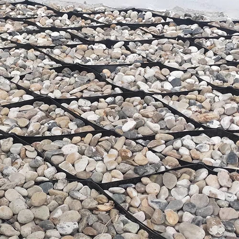 Ô địa kỹ thuật HDPE bền bỉ Bề mặt nhẵn Ô địa kỹ thuật HDPE cho Đường lái xe Kiểm soát xói mòn cho Mái dốc Hỗ trợ tường chắn