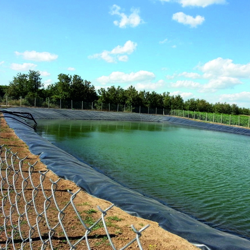 Polyethylene ngoài trời nuôi cá Geomembrane Pond Liner HDPE Containment Liner Lider Lider Lider Lider Geomembrane Liner