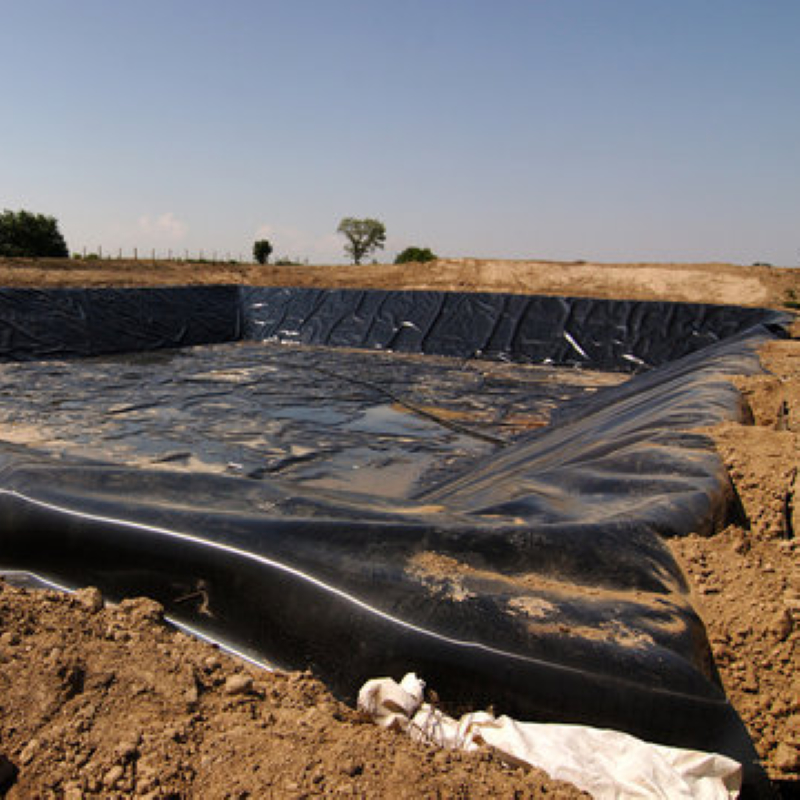 Anti-Seepage Plastic Film Geomembrane with HDPE for Pool Lake River Agriculture Dam Landfill