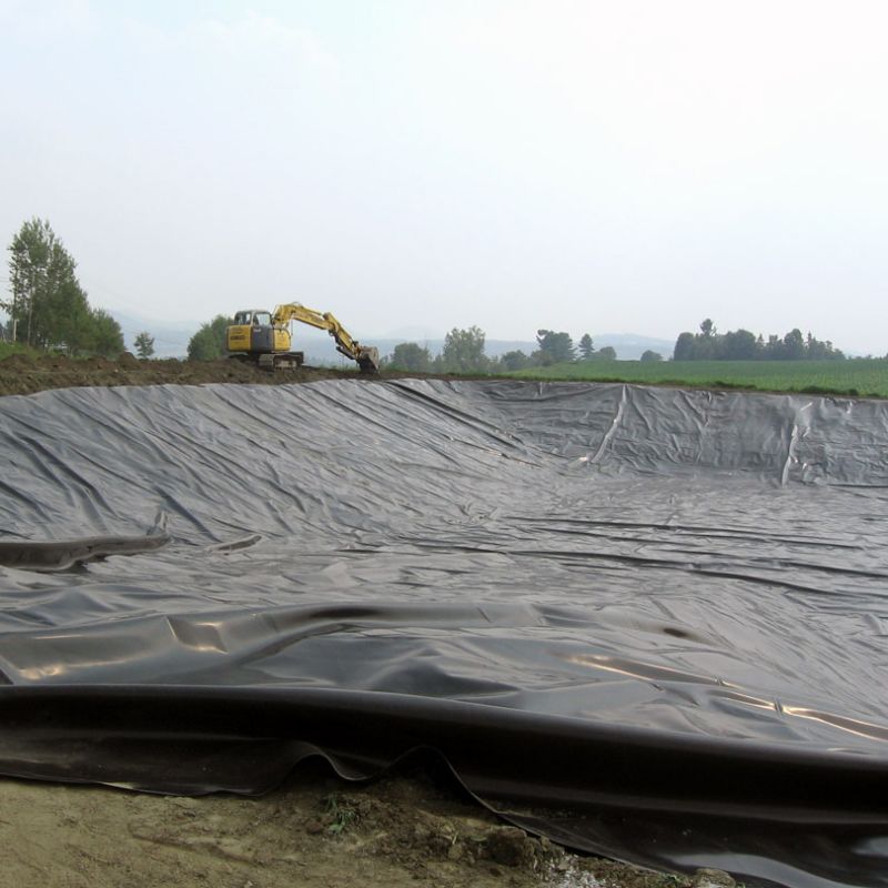 Hard Black Liner Hdpe Waterproof Pond Liner Geomembrane Polyethylene Giá nhà máy để bán