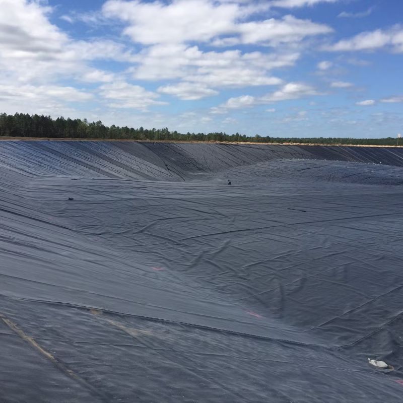 Hard Black Liner Hdpe Waterproof Pond Liner Geomembrane Polyethylene Giá nhà máy để bán