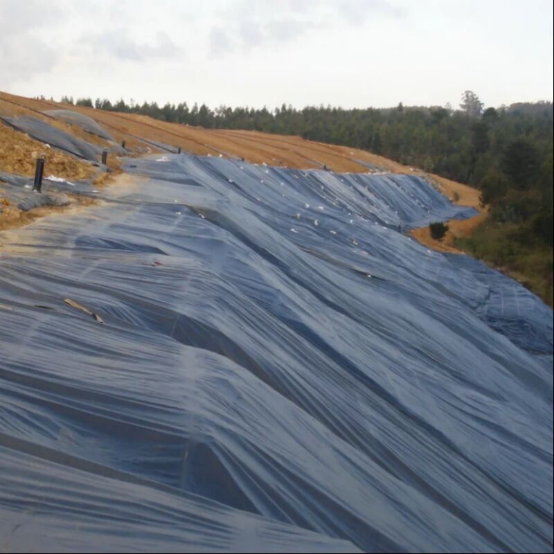 Không thấm nước bề mặt mịn nông nghiệp Lớp lót ao nuôi tôm nuôi cá hồ nhân chất thải HDPE Geomembrane